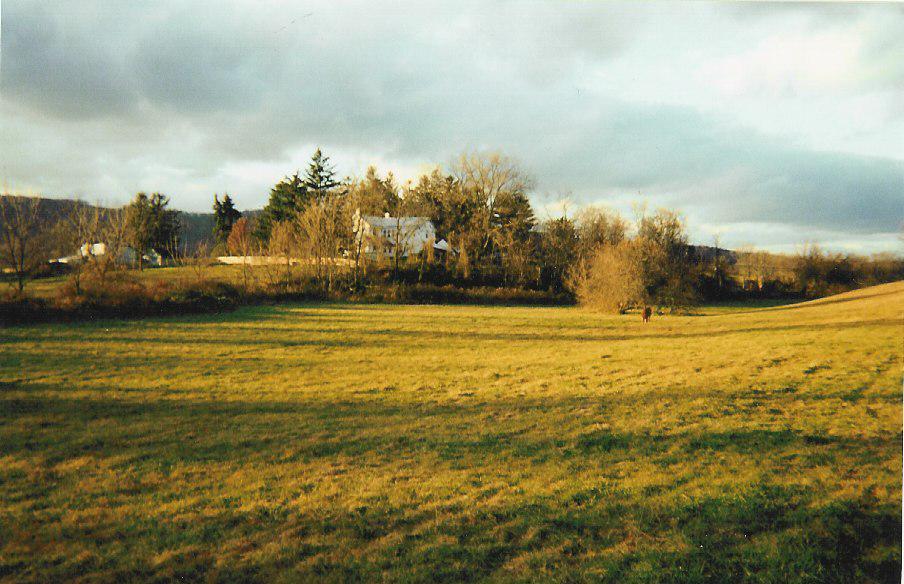 AppleMark
